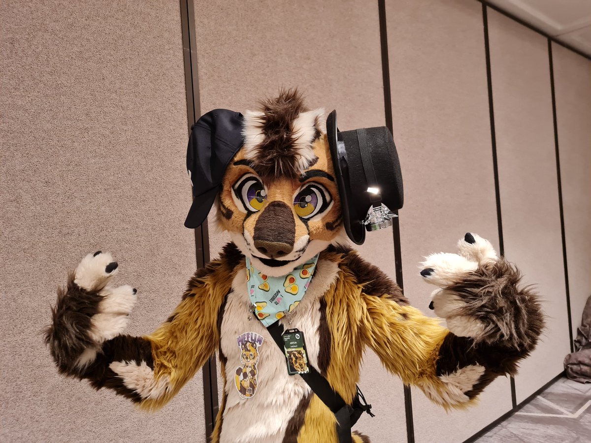JarlathHare's tweet photo. On #WorldPhotographyDay, this year I became a photografur for the first time by taking many pics of critters at Confuzzled back in May, my first ever con. Here are some of them now! ๐ท๐พ
#FursuitFriday #furry #Confuzzled #cfz22 @cfconvention https://t.co/m0BWI7T3AH
