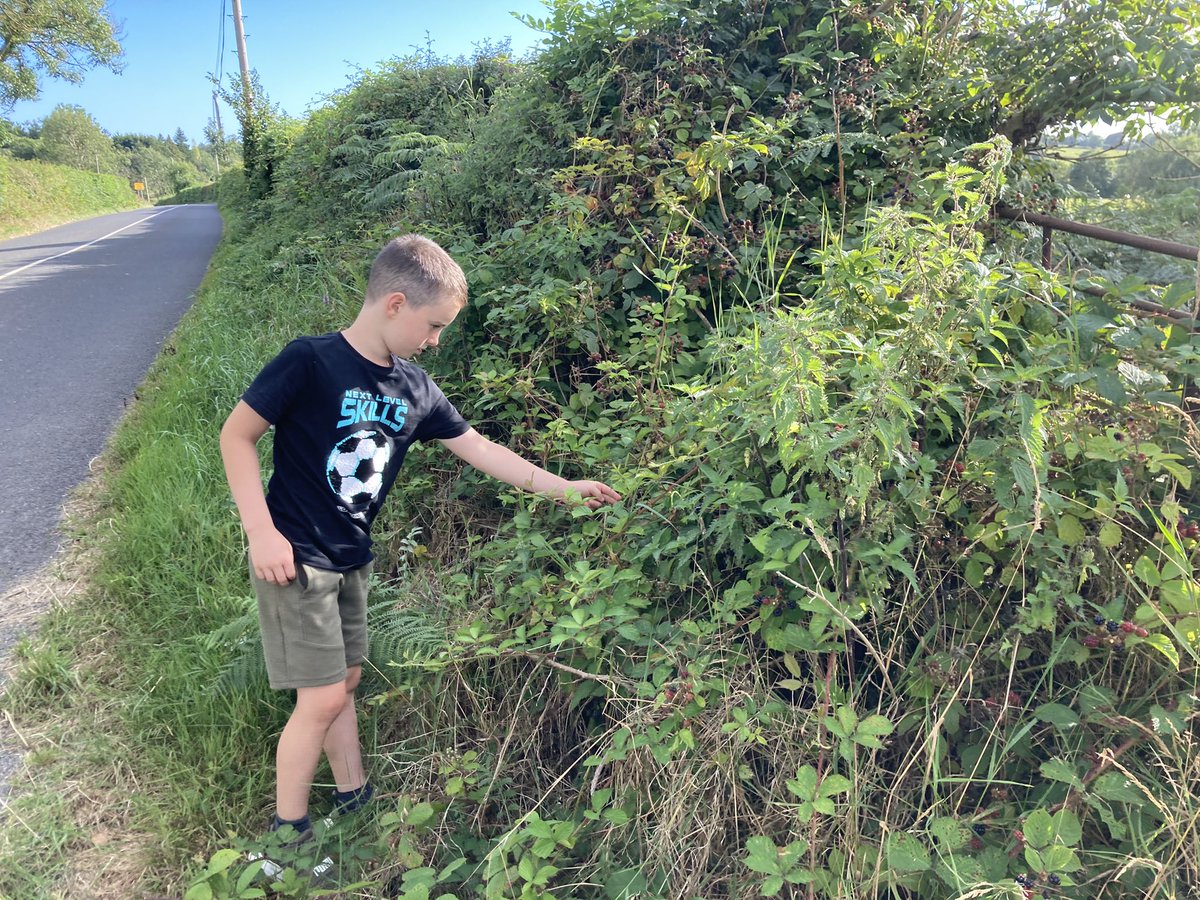 Patrick Kirwan tweet media