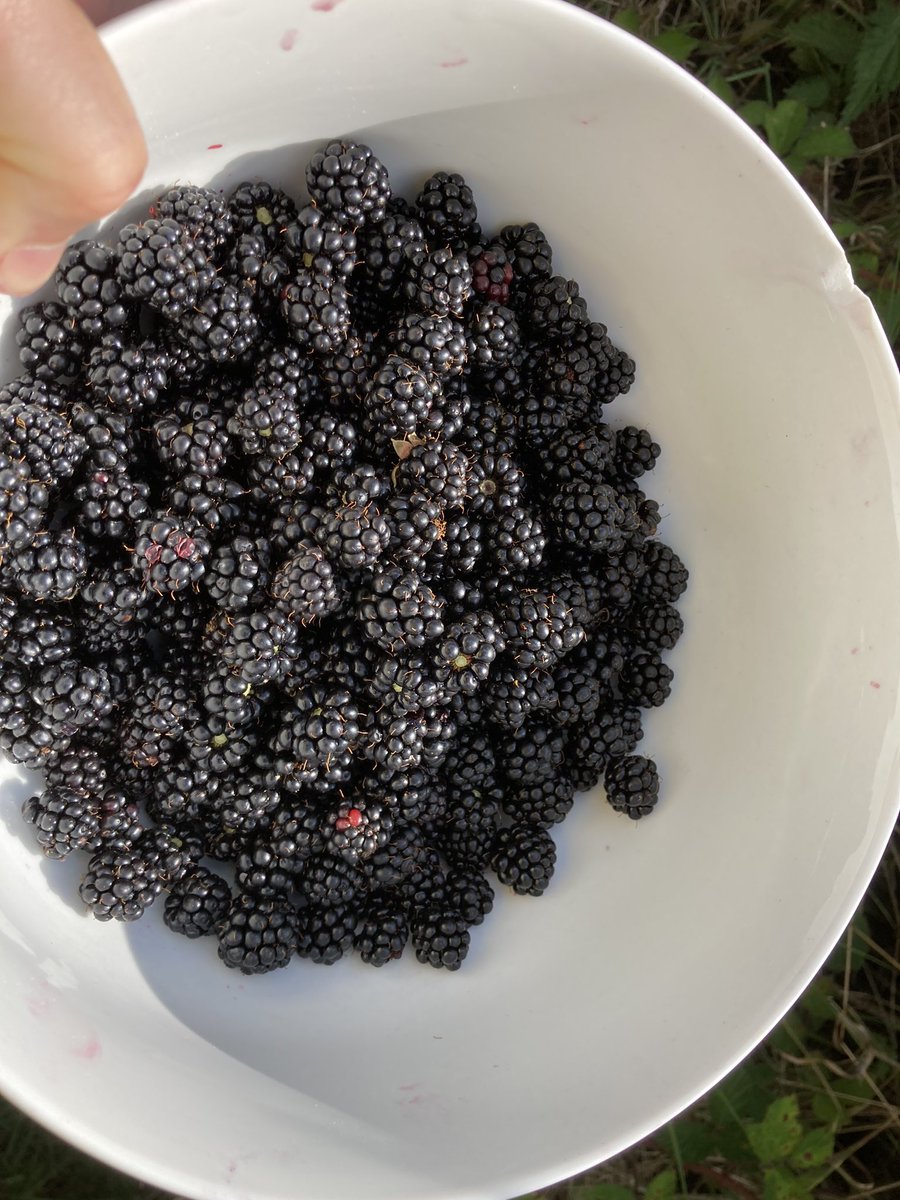 Patrick Kirwan tweet media