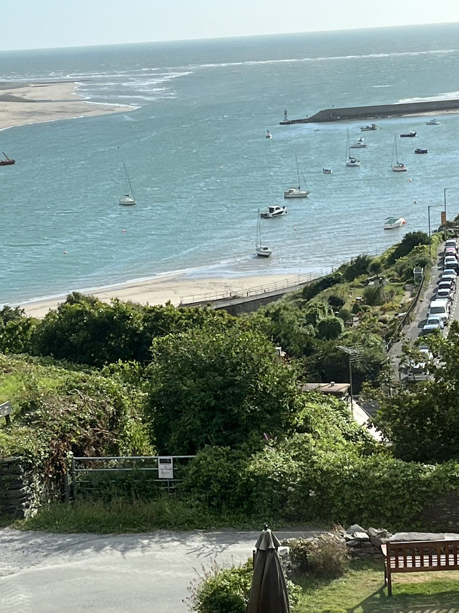 Sarah Raddon tweet media