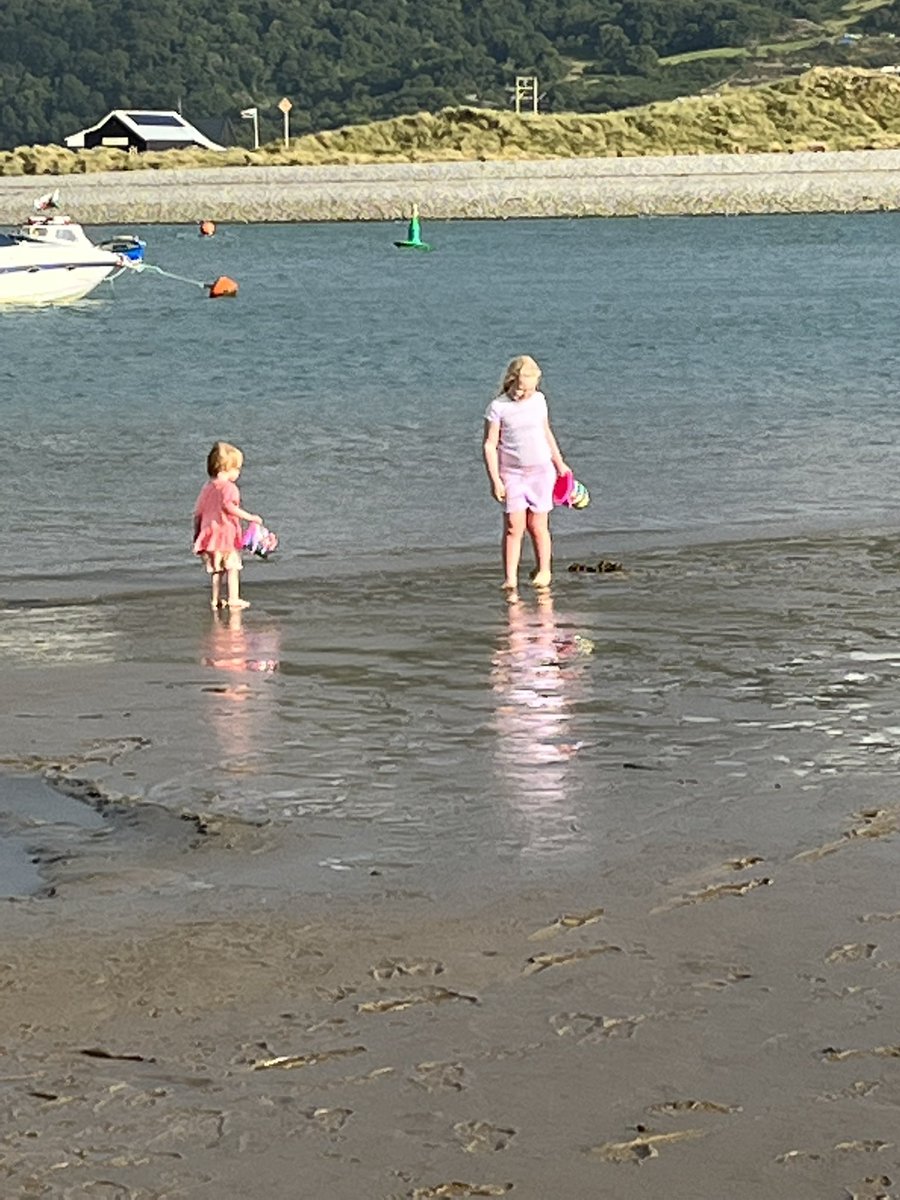 Sarah Raddon tweet media