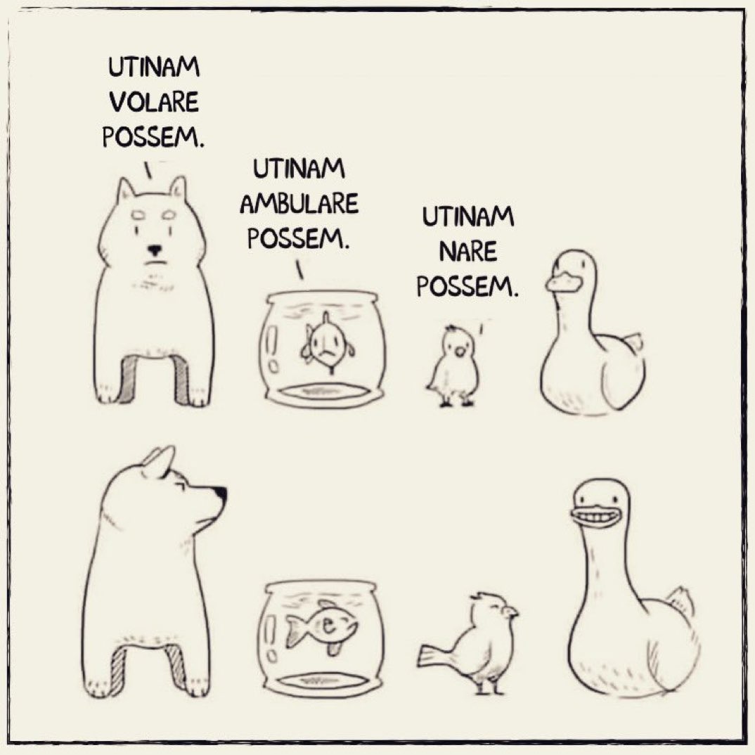 if only I could fly : if only I could walk ; if only I could swim : use utinam and the imperfect subjunctive to express a wish for something that isn’t so : the artist is Bang Ong from Singapore.