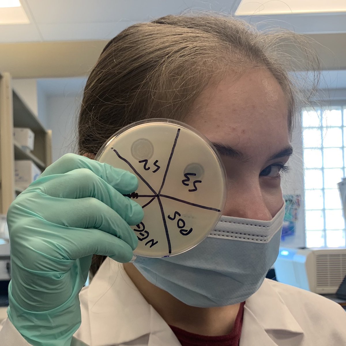 Adam Rudner (@adam_rudner) on Twitter photo Congratulations to <a href="/enzhegalimova/">Enzhe Galimova</a> winner of best undergraduate presentation #phagecanada2022! about her work on tail assembly chaperone proteins. Congratulations to <a href="/enzhegalimova/">Enzhe Galimova</a> winner of best undergraduate presentation #phagecanada2022! about her work on tail assembly chaperone proteins.