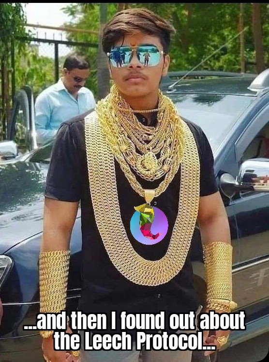 FuntMS07's tweet photo. And you can do it))) 
@LeechProtocol 
#Crypto #LeechProtocol #Crosschain https://t.co/TgP3yAIMi1