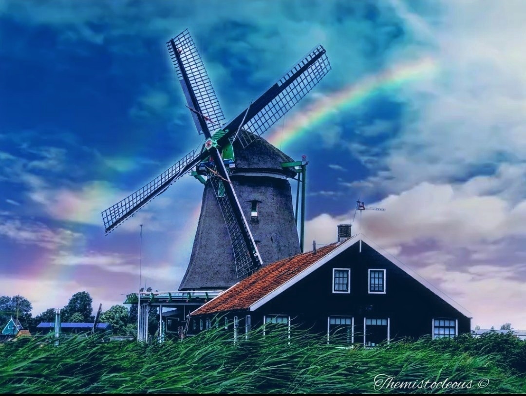Irene4them's tweet photo. #PhotographyDay #photographylovers #photography #landscape #landscapes #Holland #nikonphotography #naturelovers #NaturePhotography #naturephoto #Skylove #travelphotography #traveling #photographer https://t.co/S6Uq6ls9xB