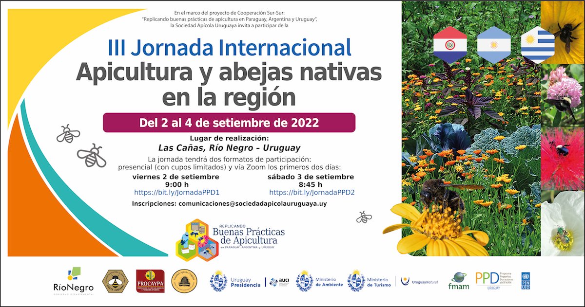 🗣️ El @PPD_Uruguay  y el @PNUDUruguay invitan a la III Jornada Internacional: 'Apicultura y abejas nativas de la región' 🐝 organizada en el marco del proyecto de Cooperación Sur-Sur: 'Replicando buenas prácticas de apicultura en 🇵🇾,🇦🇷y🇺🇾'.   

🔎bit.ly/JornadaPPD