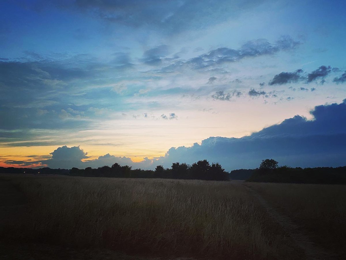 plumtreecoop's tweet photo. Gorgeous sunset over Roundshaw Downs. Not bad place to forage for some wild fruits - looks at those blackberries! So sweet and full of sun. And this wild apple tree has so many apples this year!
#fruitfullwalk #roundshaw #purley #foraginguk #sunset #plumtreeproject https://t.co/Ln3SxWCnDT