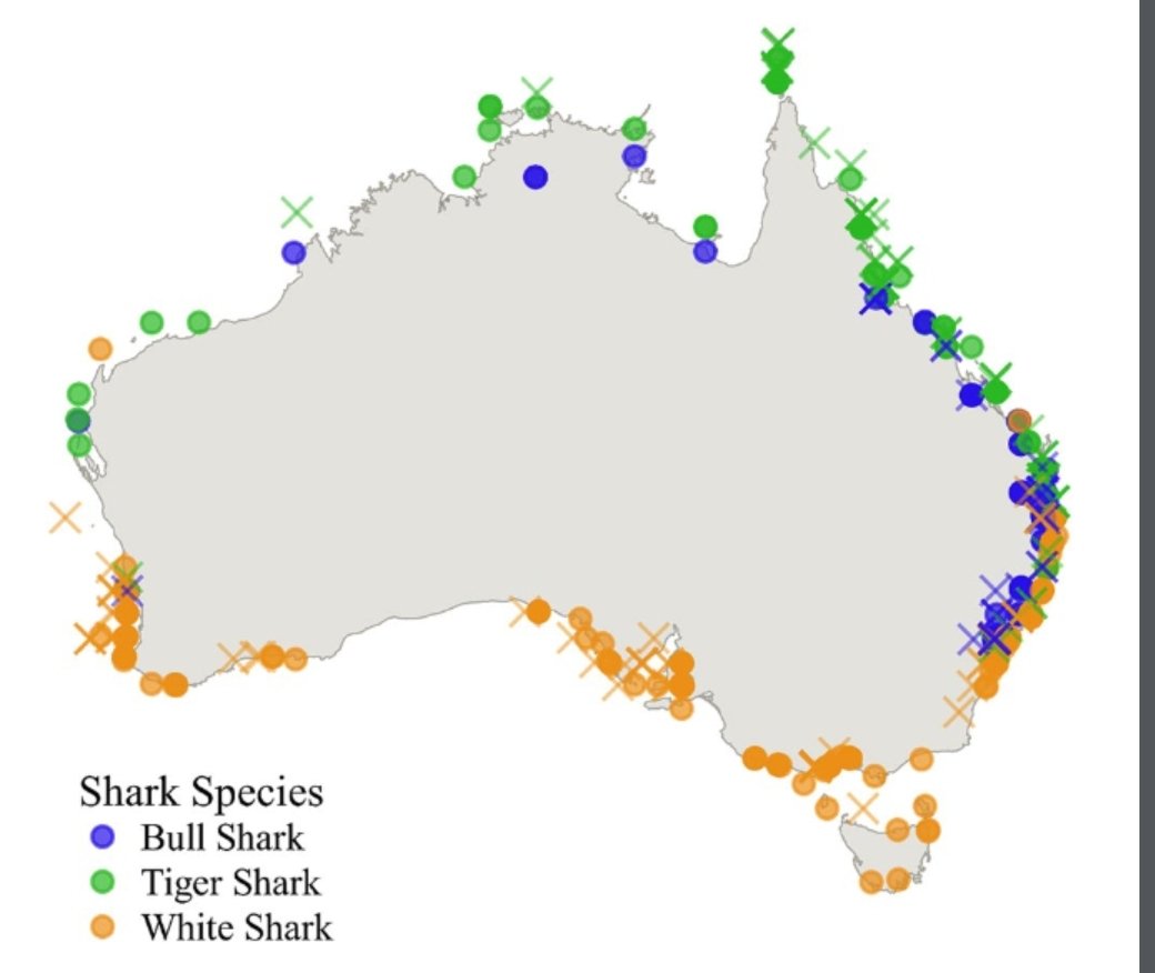 James P. Tucker (@carcasschemist) on Twitter photo Want to understand the factors that influence shark bite survivability? Check out our latest publication that examines the question using over 200 years of data: rdcu.be/cTXJk
<a href="/Paul_A_Butcher/">Paul Butcher</a> <a href="/Barefoot_Lab/">Prof Isaac Santos</a>
@nswdpi
<a href="/Nature/">nature</a>
<a href="/NMSCSCU/">National Marine Science Centre (NMSC)</a> Want to understand the factors that influence shark bite survivability? Check out our latest publication that examines the question using over 200 years of data: rdcu.be/cTXJk
<a href="/Paul_A_Butcher/">Paul Butcher</a> <a href="/Barefoot_Lab/">Prof Isaac Santos</a>
@nswdpi
<a href="/Nature/">nature</a>
<a href="/NMSCSCU/">National Marine Science Centre (NMSC)</a>