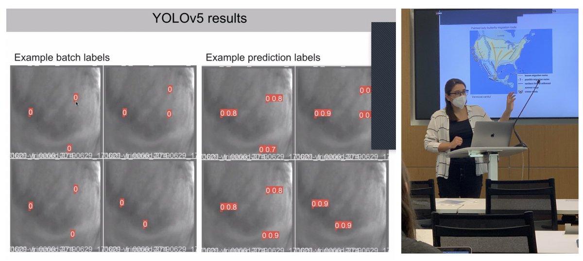 <a href="/francesca_ponce/">Francesca  V. Ponce</a> detected flies in sky-background images using #YOLOv5, encoded temporal information into RGB channels, and compared fly counts from YOLOv5 with her existing count-pipeline 🪰👏