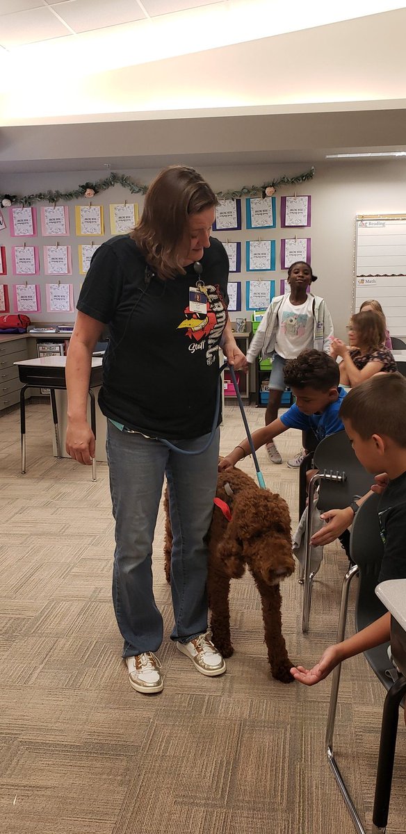 MrsFakhoury's tweet photo. We had a special visitor in our classroom today: Appa, the @college_wood therapy dog! Thanks for coming to see us @BrubakerMrs ! https://t.co/AD35cpvPQv