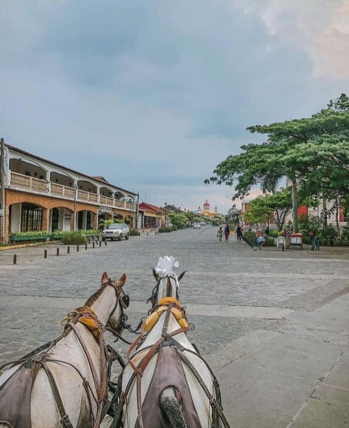 LorenaBalladar2's tweet photo. La belleza de nuestra gran sultana, La calzada #granada #Nicaragua 😍
#tour #travel #belleza #tierra #pinolero https://t.co/XdjbkSEtAB