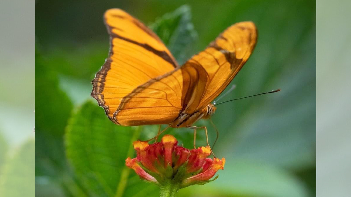 Voces del Sur tweet media