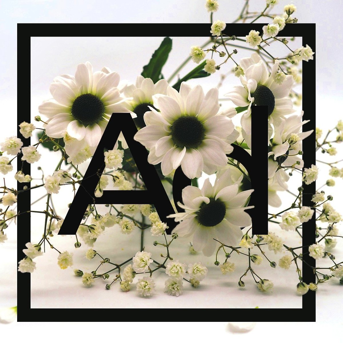 Alexandra Cernitu tweet media