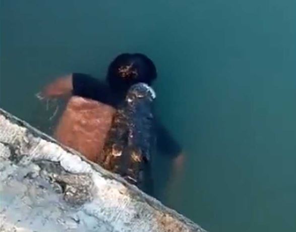 noticiaaldia's tweet photo. De espanto: un cocodrilo mata a un hombre en una laguna y se pasea con su cadáver

https://t.co/ctOkwxacR5 https://t.co/YAq4ZWaxwm