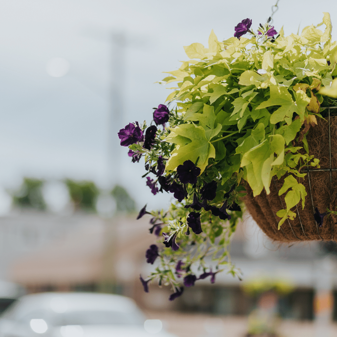 Academy Road BIZ tweet media