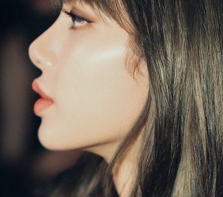 Lisa side profile