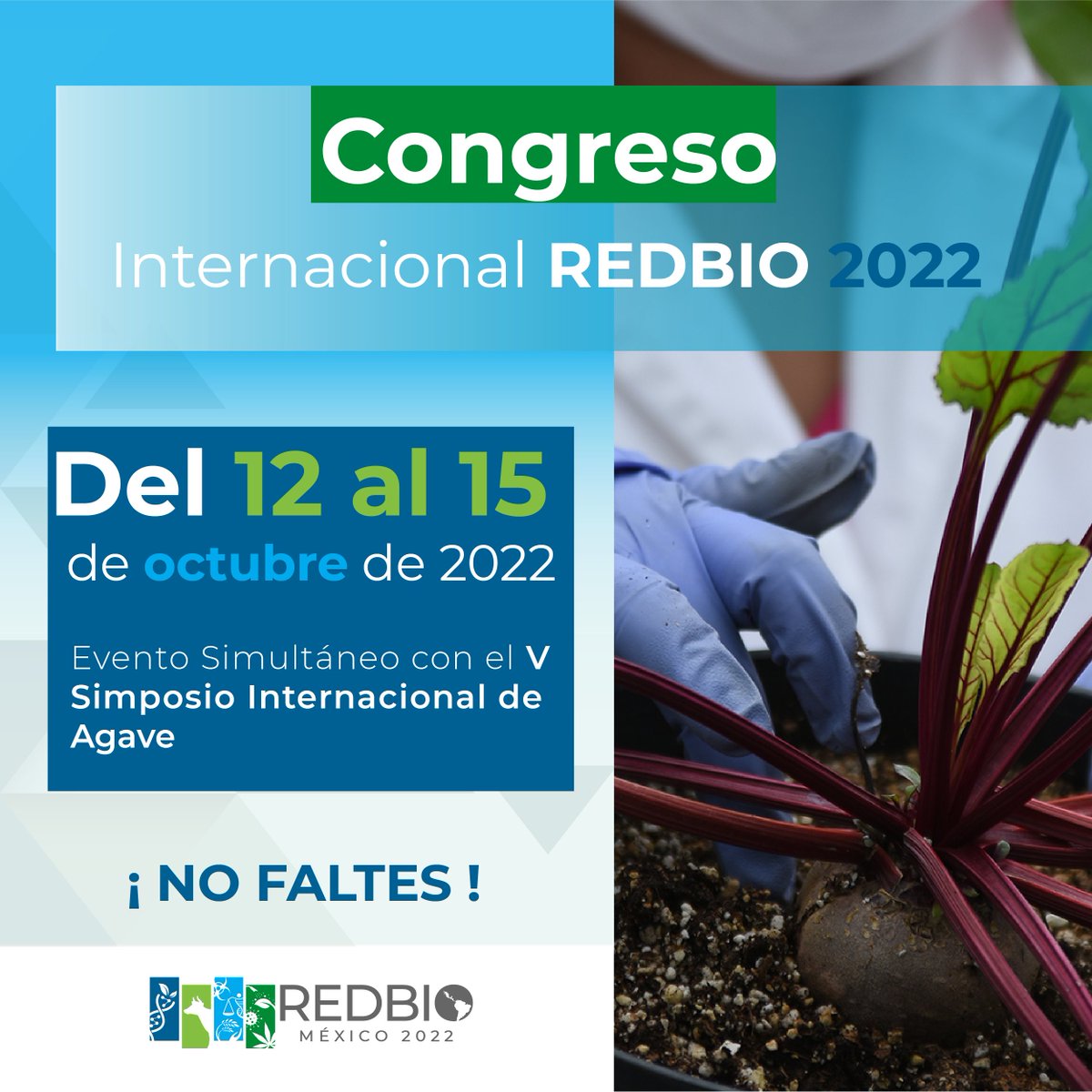 CIATEJ's tweet photo. Acá más información 😉

Participa en el Congreso 
@RedBioOficial  , el cual se llevará a cabo del 12 al 15 de octubre en Mérida, Yucatán.

➡ https://t.co/RsJRgvsvIG
📩 redbio_isa@ciatej.mx

¡No te quedes fuera!

#REDBIO2022 https://t.co/EIVV3fqzof