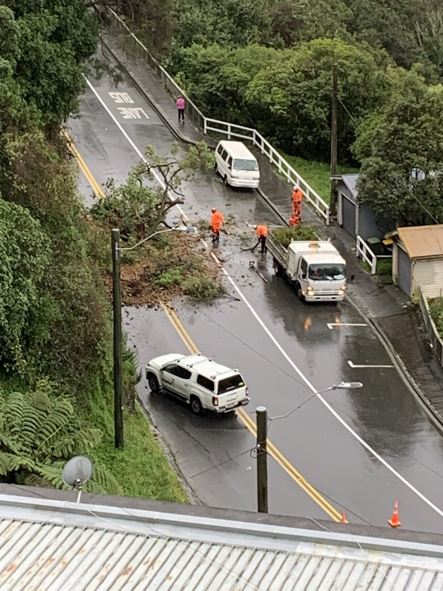 FosterForWN's tweet image. Contractors out through a very wet night clearing slips - these ones on Chaytor and Birdwood Streets, Karori. Heroes - thank you! It’s been exceptionally wet but asking  our Roading management to update on key risk areas of the city and ongoing work on retaining/netting.