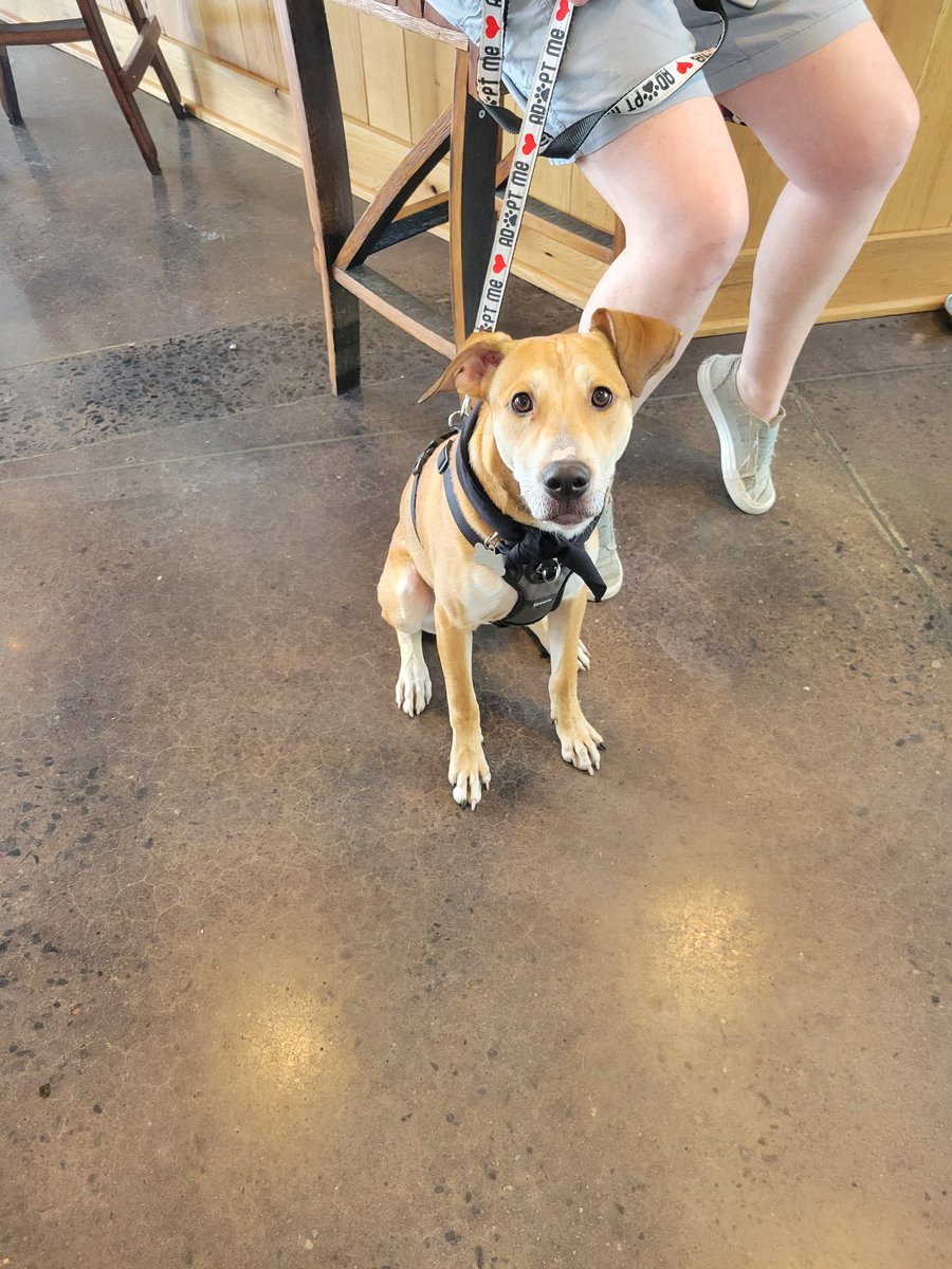 Sharp 5th Grade tweet media