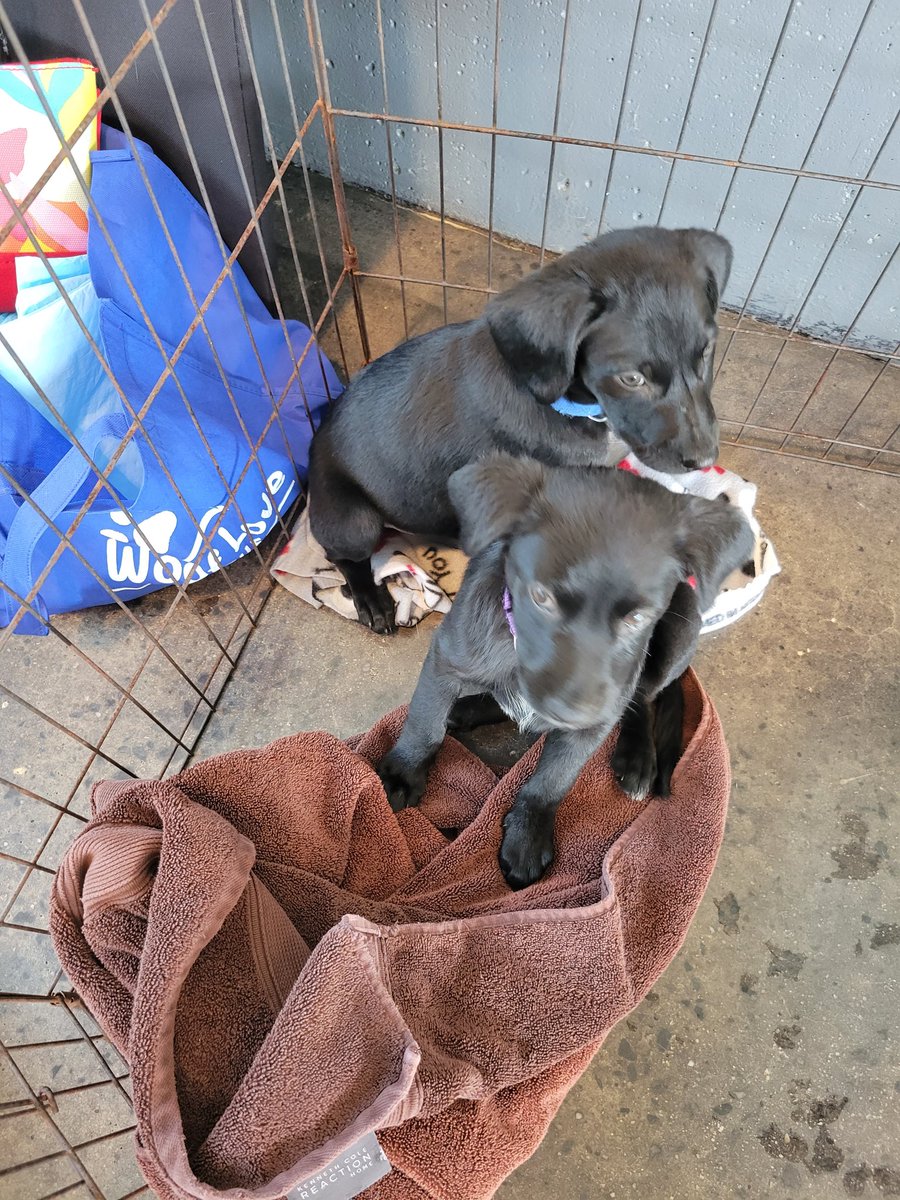 Sharp 5th Grade tweet media