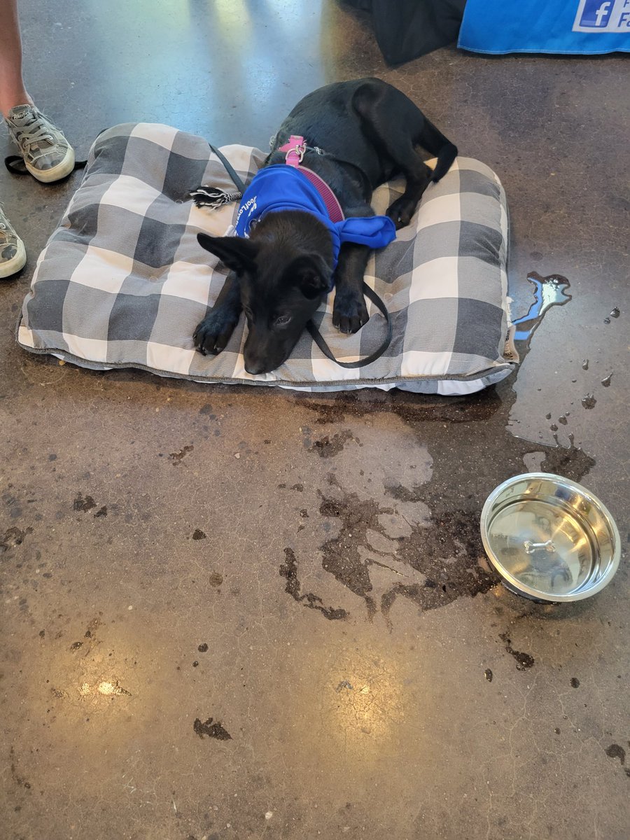 Sharp 5th Grade tweet media