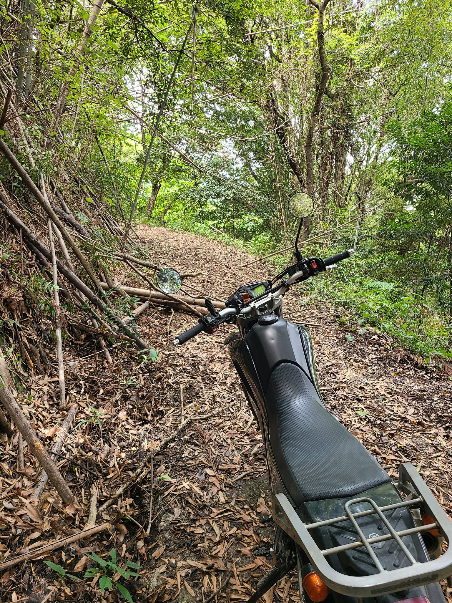おんせん県おおいたのガンちゃん Gantilyan Twitter