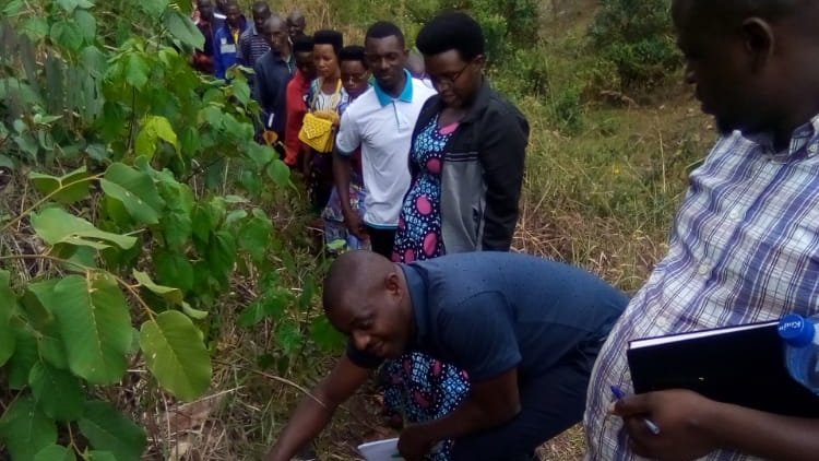 BuhumuzaProvinc's tweet photo. #Burundi Ce jeudi,18/8/2022, le Conseiller du Gvr de @MuyingaProvince chargé du développement en compagnie de l'équipe de la #DGEPA,@AHAMR5 et l'administrateur de la commune #Mwakiro a procédé à l'évaluation de l'état d'avancement des ouvrages de l'AEP #Bonero_Mukungu_Gasenyi. https://t.co/dDVheGtpUv