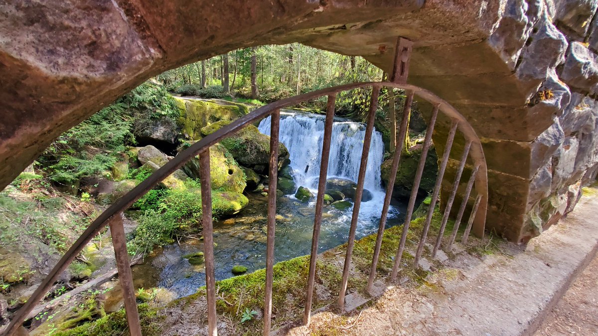 PortlyTravelle1's tweet photo. Whatcom Falls in Washington, USA. Our YouTube video shares the accessibility of this beautiful park. https://t.co/ggftwnpOdX #whatcomfalls #bellingham #washingtonstate #washington #waterfalls #accessibility #roadtrip #travelwithlimitedmobility #limitedmobility https://t.co/dF7nPvLiYL