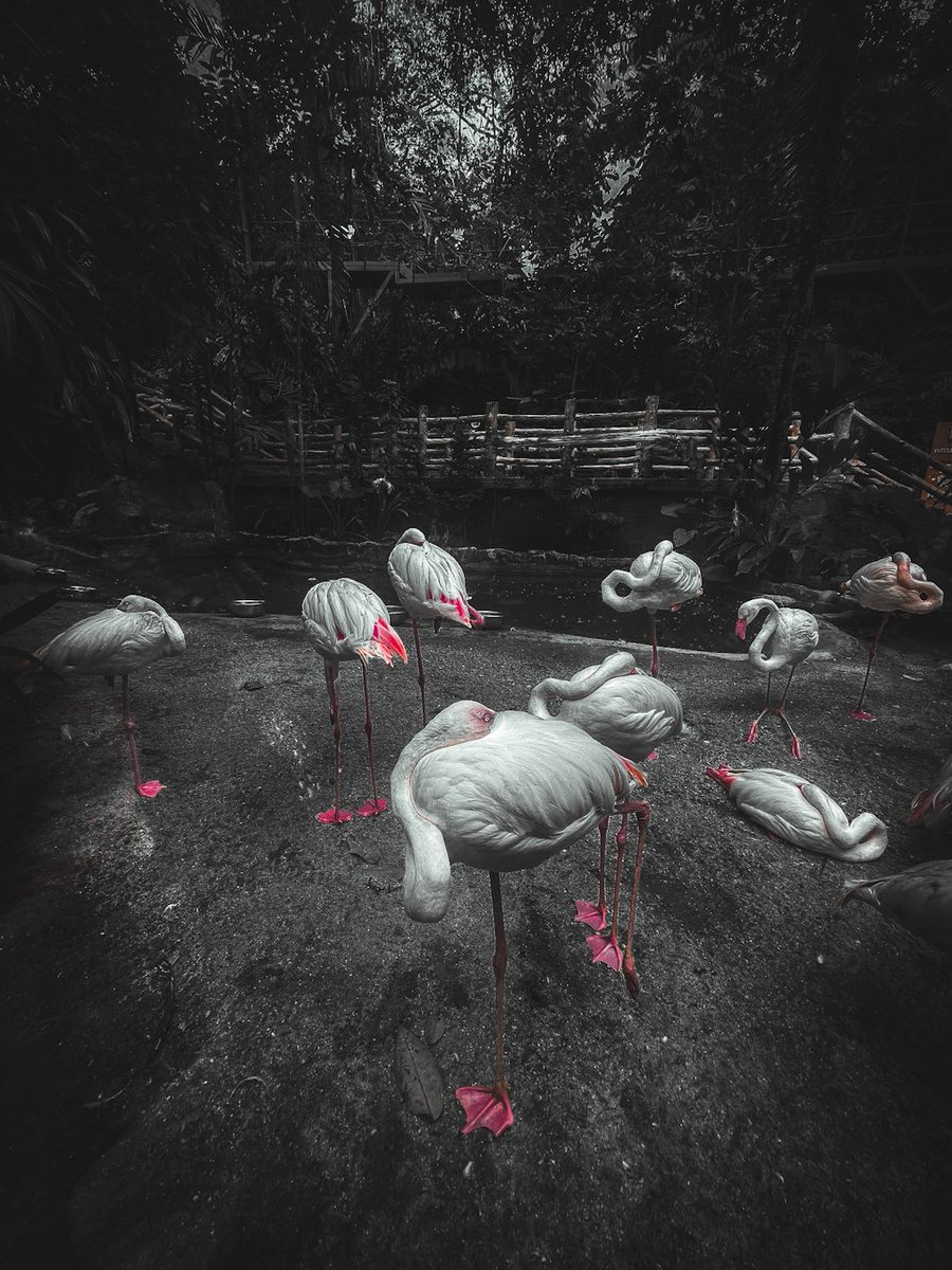 Veranda (@iclassyy_) on Twitter photo 