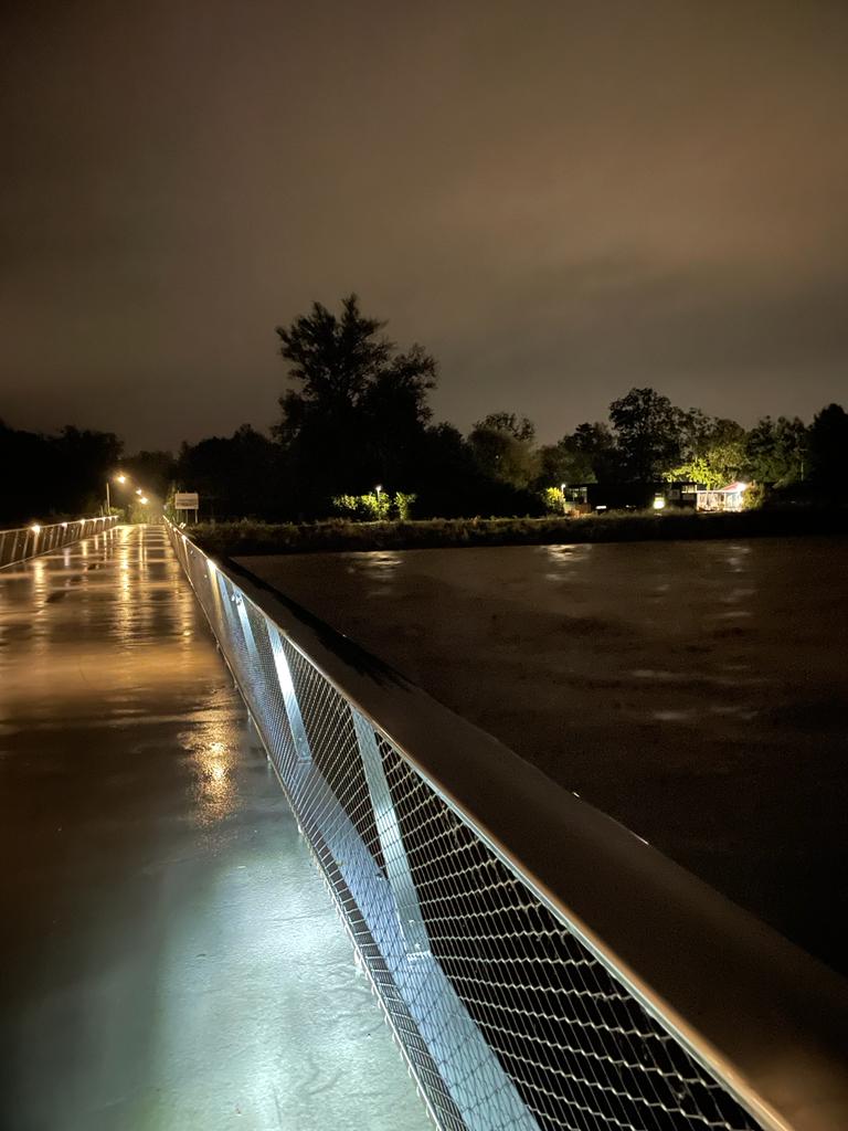 Eva Hammerer tweet media