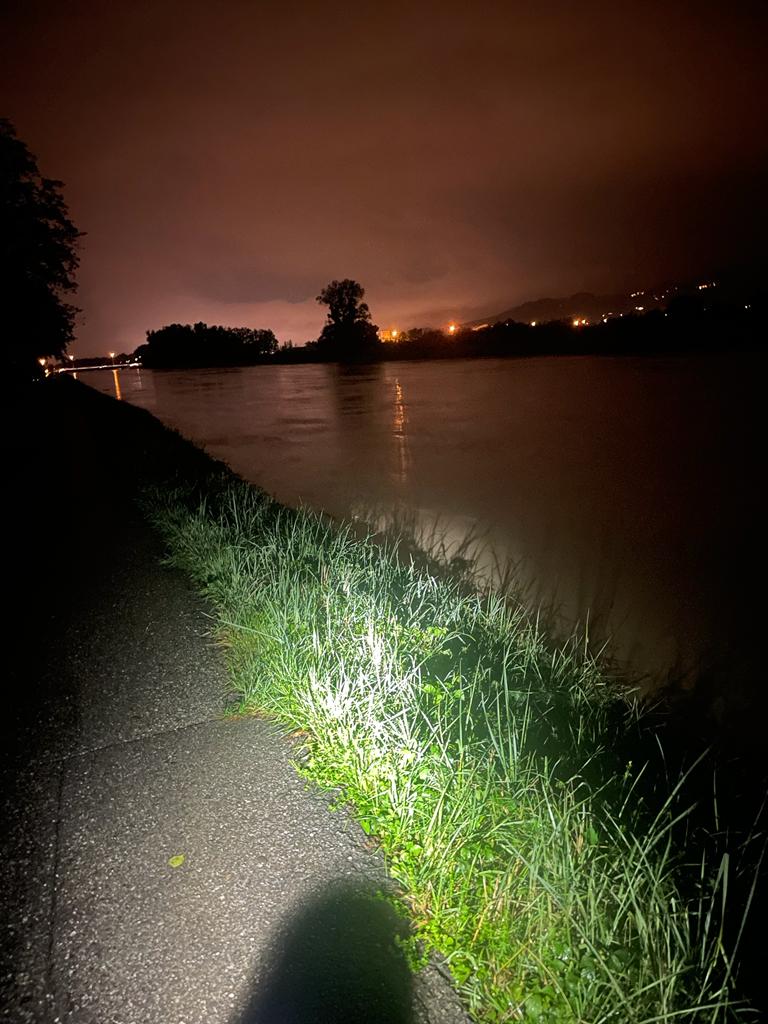 Eva Hammerer tweet media