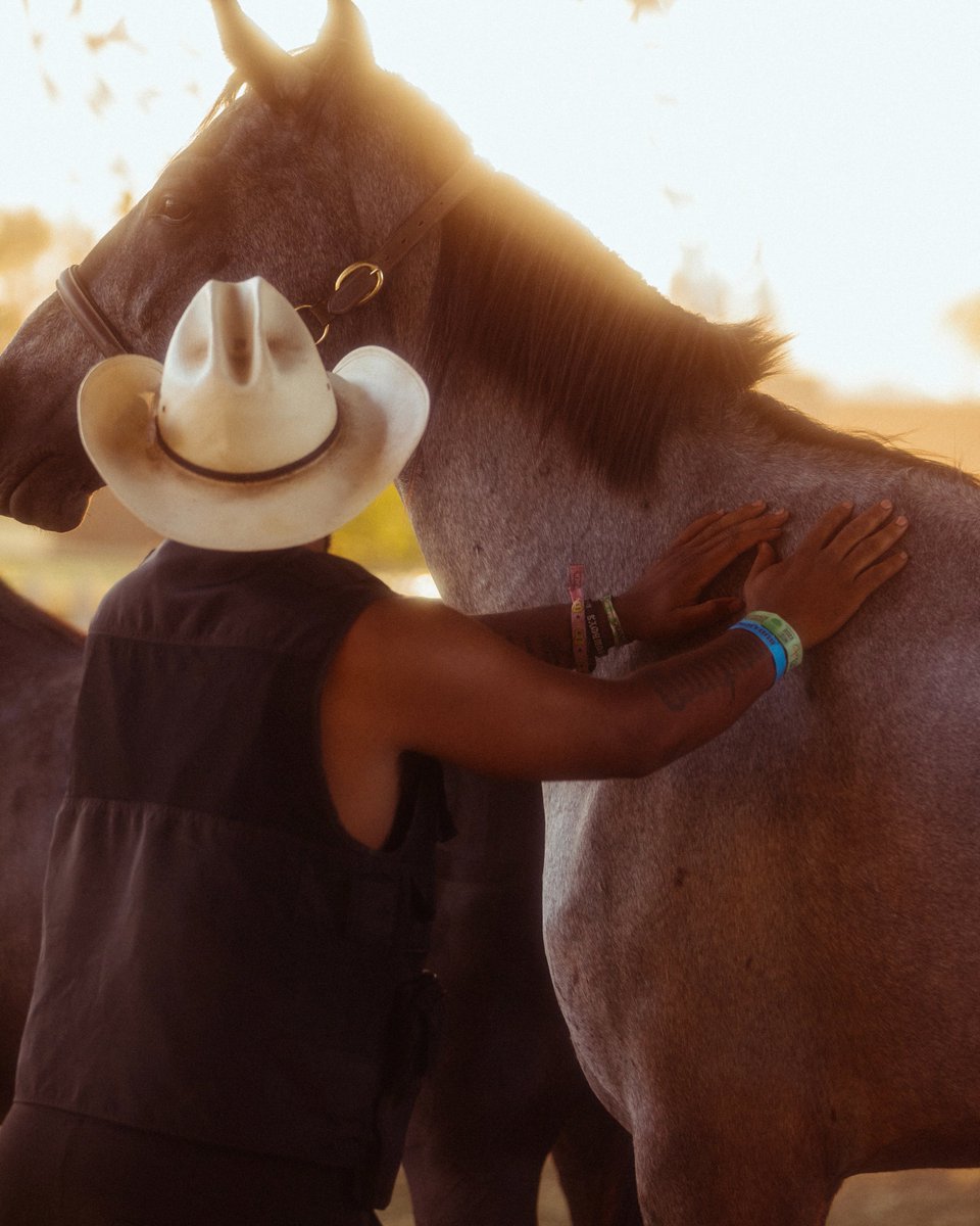 Stagecoach's tweet image. Galloping into the weekend