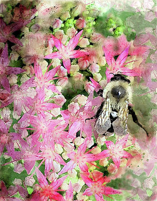 DeborahLeagueFA's tweet photo. Hokey Pokey Bee!! You put your right foot out .... #buyintoart #beeart #shopearly #fallforart #bees #beeonflower #summertime #savethebees #floralart #flowersonfriday #dancingbee #bee #stonecrop #sedum #wallart #artprints #homedecor #art
AVAILABLE HERE - https://t.co/doxSfegCP3 https://t.co/lQrKh5QdYg
