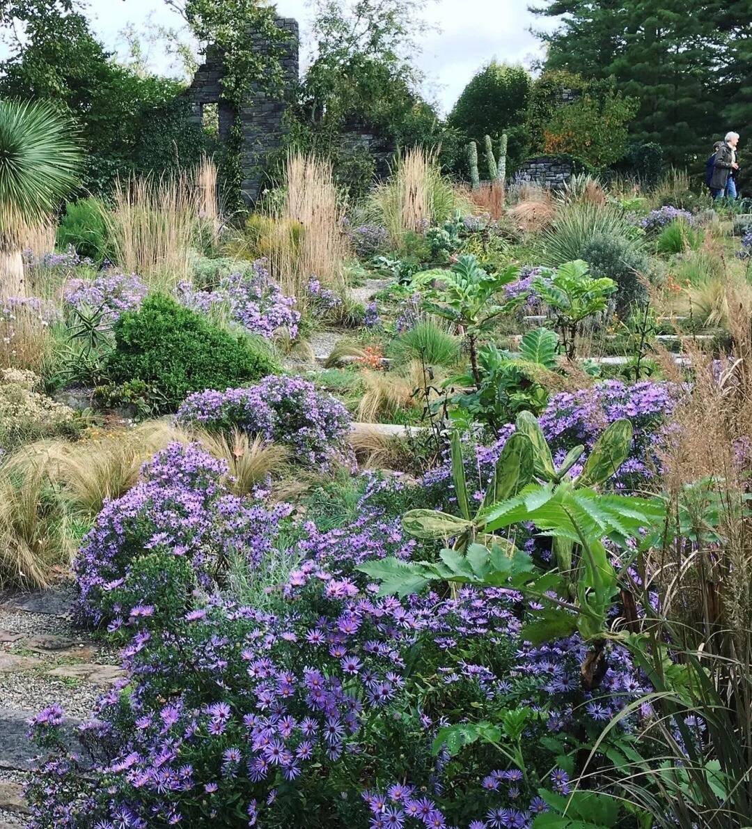 Some are slim, like a noble and elegant princess; some chrysanthemums bow their heads, like a shy girl; some green leaves set off red flowers, so beautiful!