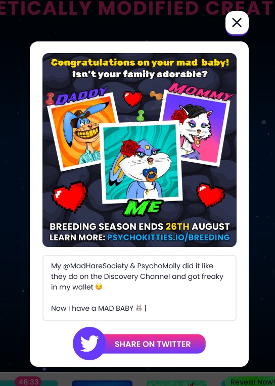 PsychoKitties tweet media
