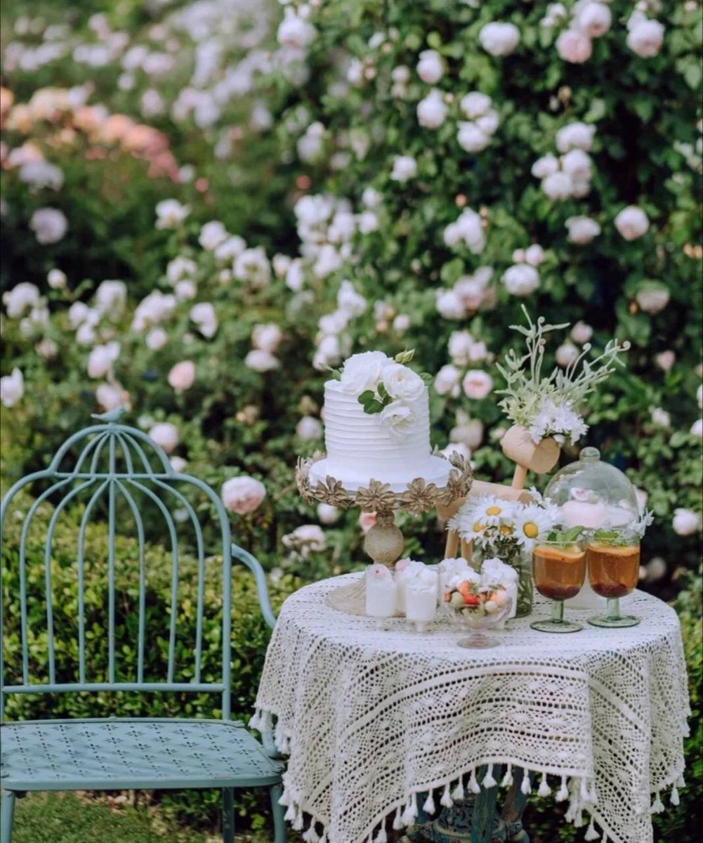 AcoXinxin's tweet photo. Flowers fall silently, and people are as pale as chrysanthemums. Morning glory also opens purple, blue and white petals. It is also so light, light and thin, not as beautiful as chrysanthemums. https://t.co/sCIfZcb5P1