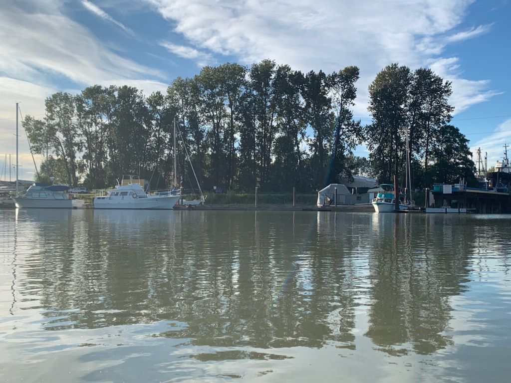 Last weekend's tour around #RichmondBC included a stop at the <a href="/sharingfarm/">The Sharing Farm</a> #Garlicfest, the #SturgeonBanks to survey a marine spill, discovery of a juvenile #DungenessCrab at low tide, &amp; survey recently approved tree removal near #ShelterIslandMarina, that I opposed. #FraserRiver