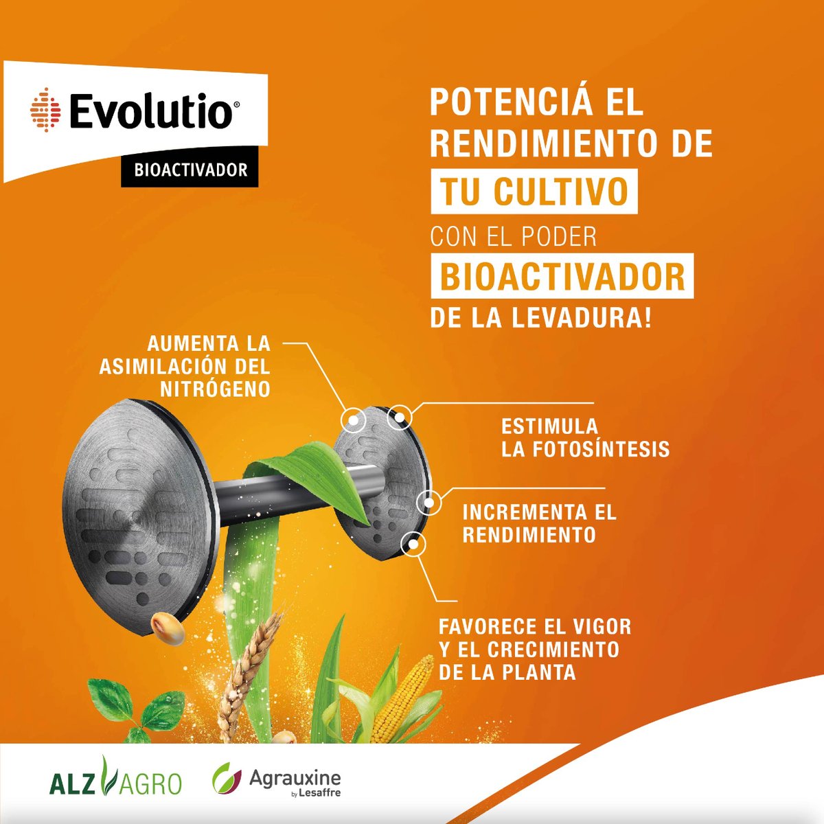 ALZ_Agro's tweet photo. ALZ-Agro líder en bioestimulantes, suma un Bioactivador a su Portfolio de nutrición Vegetal 🌱

 #EVOLUTIO es un bioactivador 100% orgánico de origen vegetal, especialmente formulado para potenciar el rendimiento de tu cultivo. https://t.co/lXyxCCd0yt