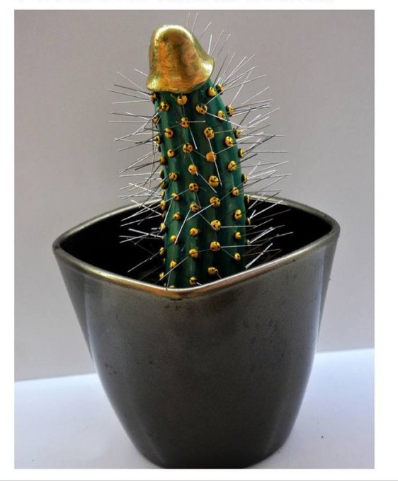 That's what any cock looks like to me if it's unshaven😂  Well, to compare all this variety, you can go<a href="/tag/public"class="tags"><span>#public</span></a><a href="/tag/blowjob"class="tags"><span>#blowjob</span></a><a href="/tag/stayhomehub"class="tags"><span>#stayhomehub</span></a>