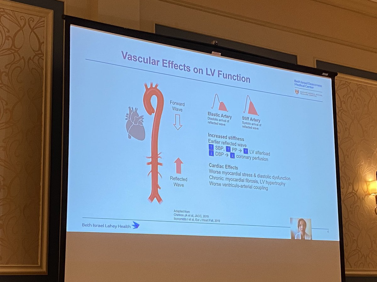 More great talks from @HFpEF @JenHoCardiology and #barryborlaug - non pharmacological therapies for HFpEF, role of arterial stiffness, and pulmonary vascular adaptations!  #CharlestonHFpEFConference