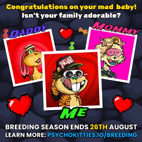 KeyadoranCrypto's tweet photo. My @MadHareSociety and PsychoMolly did it like they do on the Discovery Channel and got freaky in my wallet 😏 Now I have a MAD BABY 😺 #MadHareBaby https://t.co/BblZE8nWKc