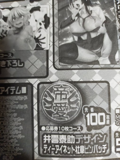 発売中の新雑誌「艶姫」にもティーアイネット愛読者キャンペーンが適用されるぞ!
なにこのバッジ欲しいんだけど!
すぐ横に応募券あった!
…あと9枚…… 