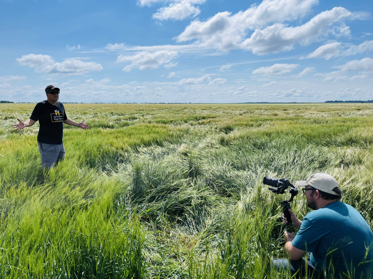 Dr. Abbey Wick tweet media