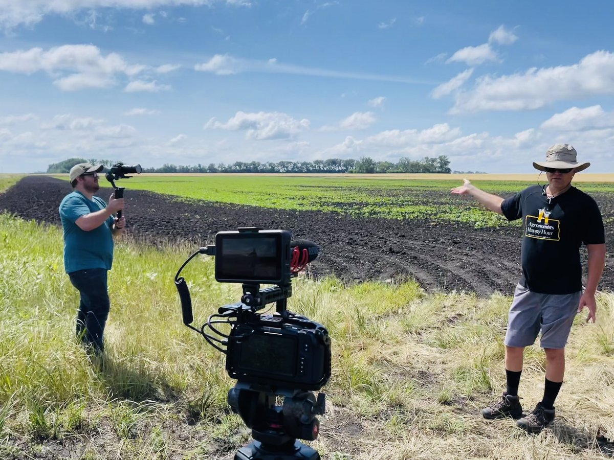 Dr. Abbey Wick tweet media