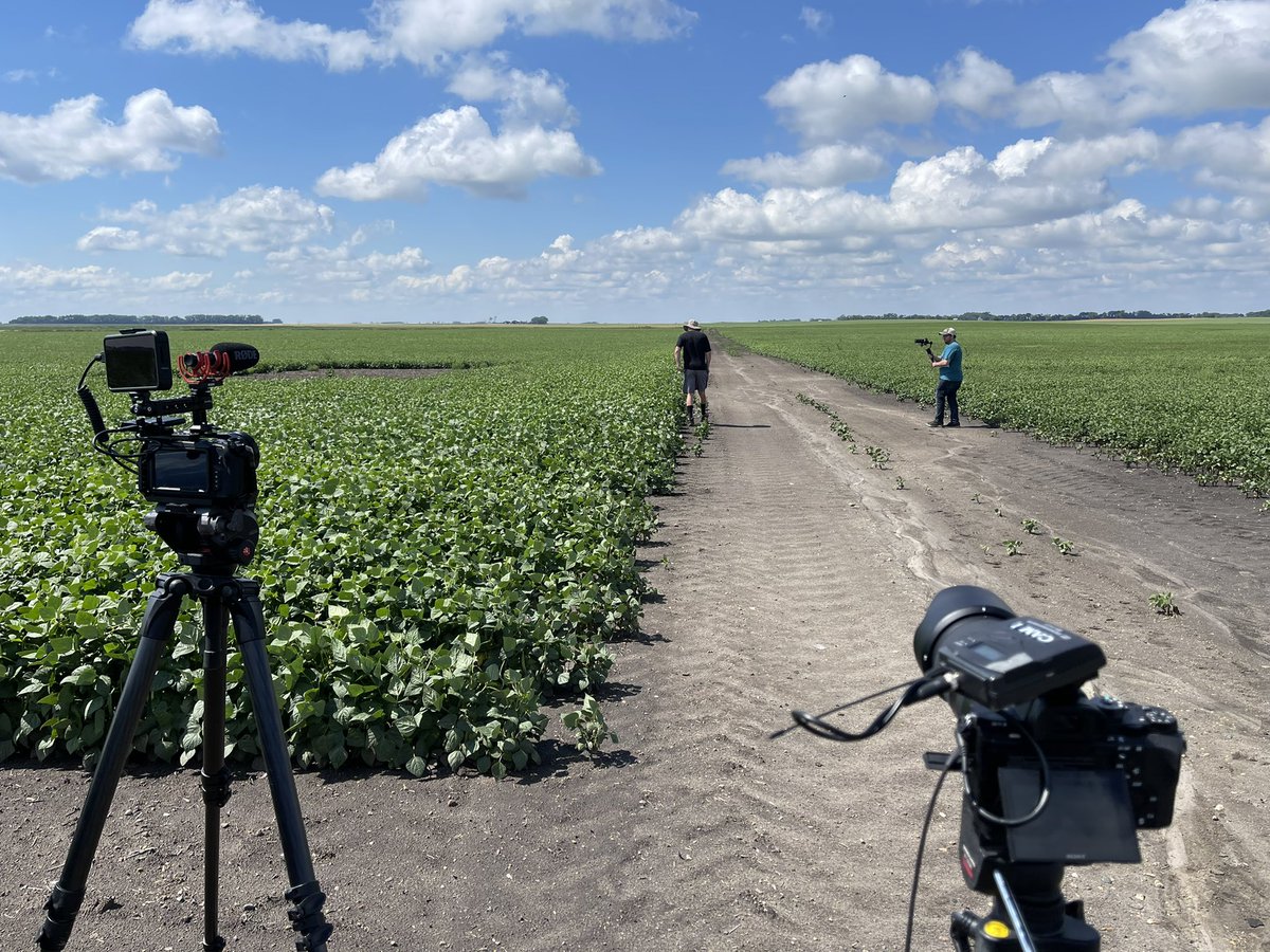 Dr. Abbey Wick tweet media