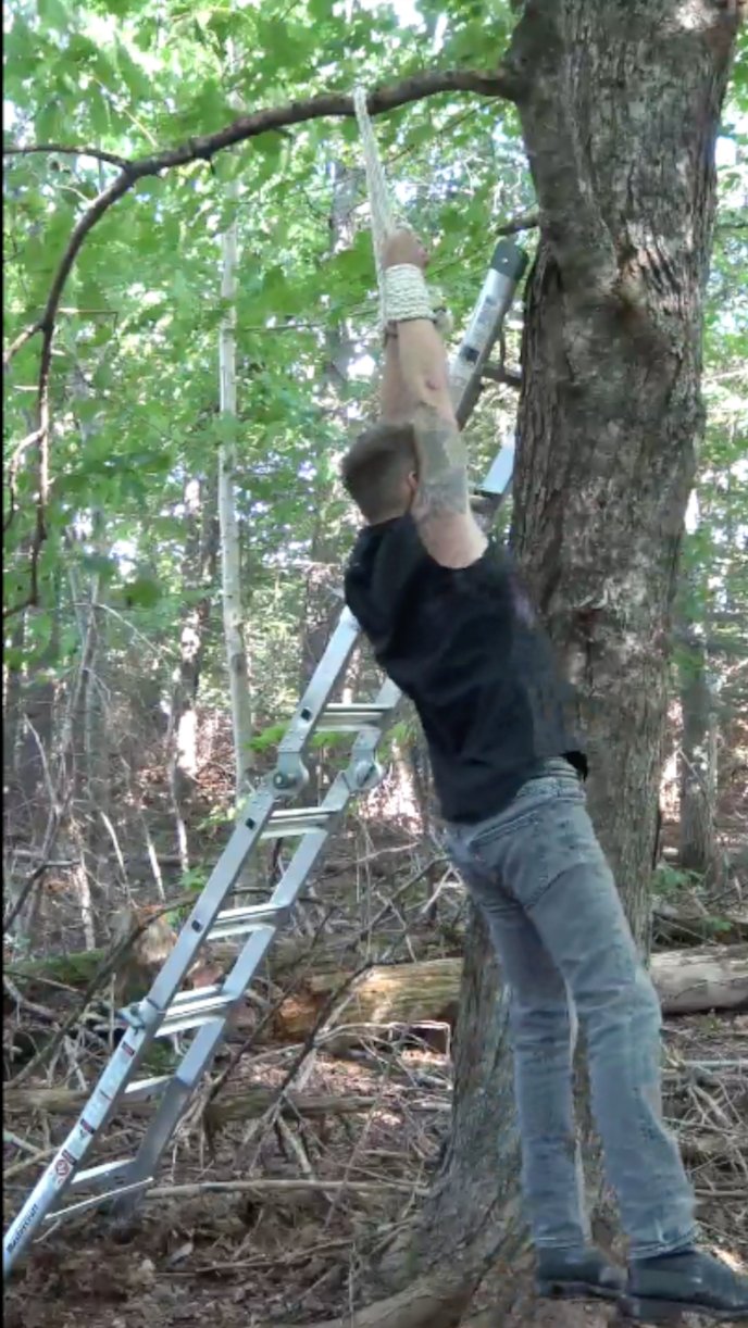 Jim "Pickle" on Twitter ""Dope on a rope!" Dill doin' a little dangle. https//t.co/glv0jJWGSB