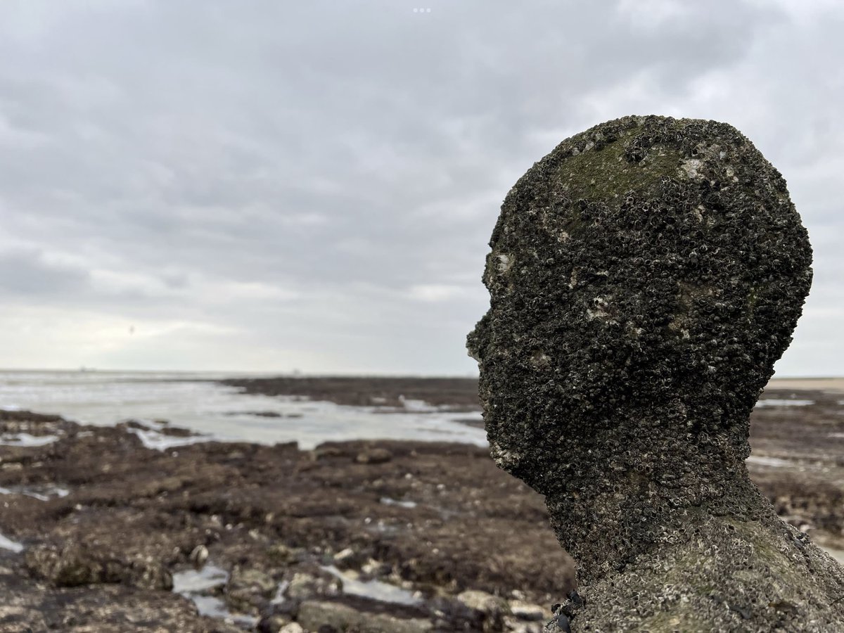 TheDigitalNorm's tweet photo. @Alan_Measles https://t.co/NLhZE9Ajsk