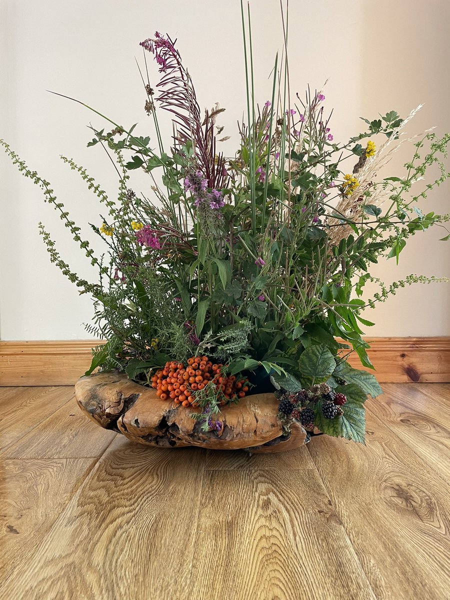 Made this today. Foraged from the local hedgerows in Culmore, Derry.