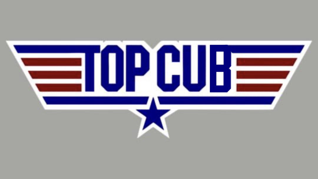 obvious_shirts's tweet photo. The Cubs won. The Cubs are awesome. The Cubs are Maverick. Top Cub. #FlytheW #TopCub https://t.co/64fwqB2PVt