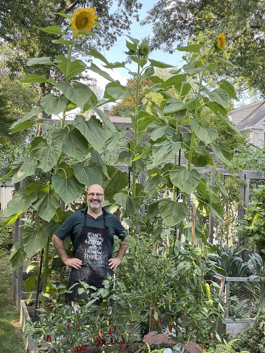 Charlie Stillitano tweet media